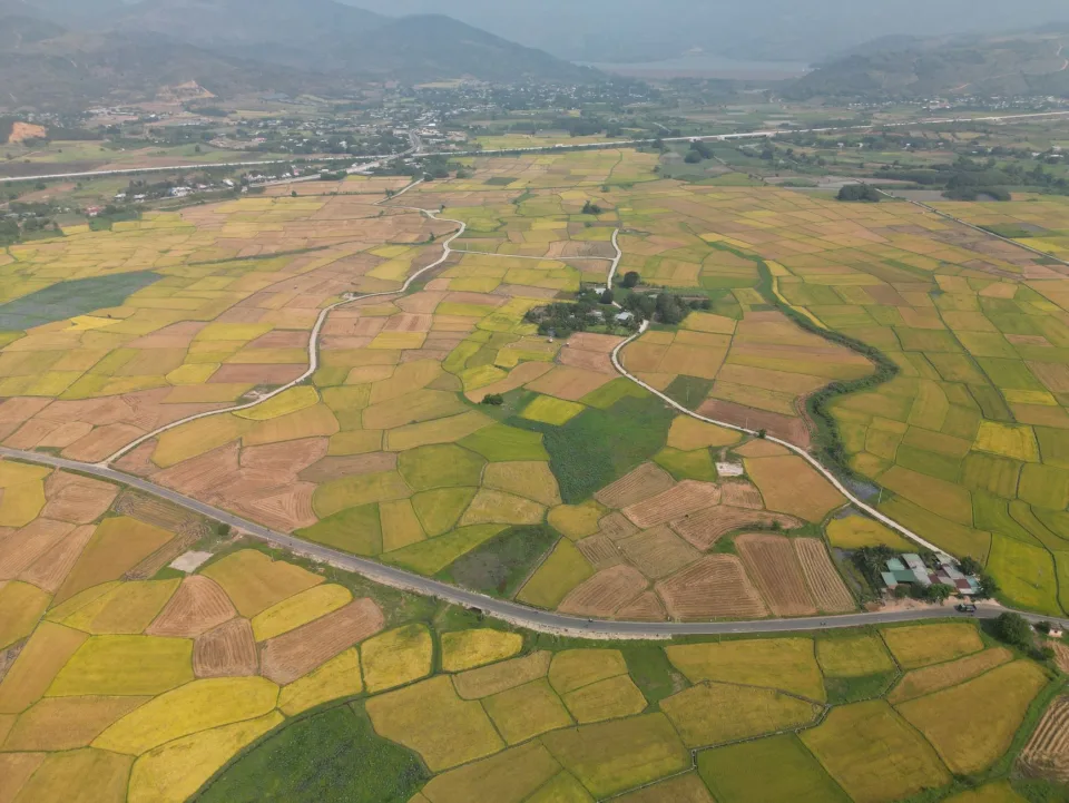 Kho gạo của Lương Thị Nhơn